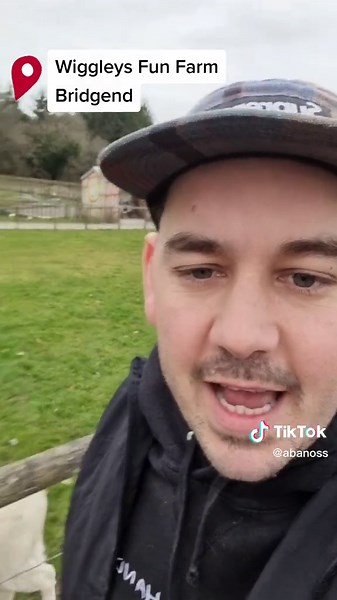 Wiggleys Fun Farm: A Hidden Gem in South Wales