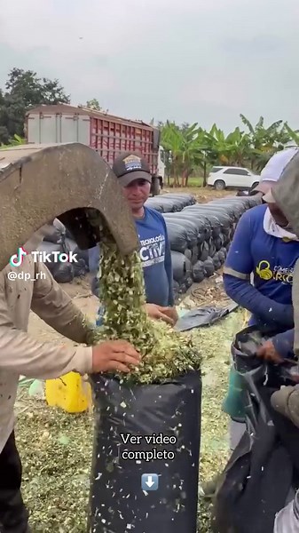 Understanding Silo Usage in Agriculture and Livestock Management