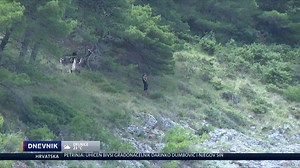 2M views · 15K reactions | Sama na pustom otoku. Ne ovo nisu kadrovi iz Survivora, već život koji barem posljednjih mjesec dana živi bivši švedski top model. Bez obzira na kazne, odlučila je napustiti apartman u kojem je bila prije mjesec dana i naselila se na mali otočić kod Rogoznice! Nitko joj ne može ništa. 廊 | DNEVNIK.hr | Facebook