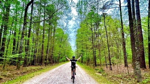 A Significant Win in our Fight to Save RDU Forest, but It's Not Over Yet