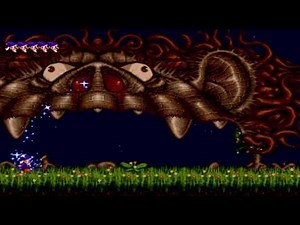 Wiz 'N' Liz - All Bosses