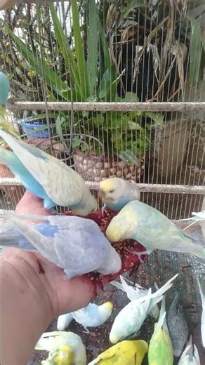 🛒 At First It Seemed Fine… Then I Noticed This in Los Angeles