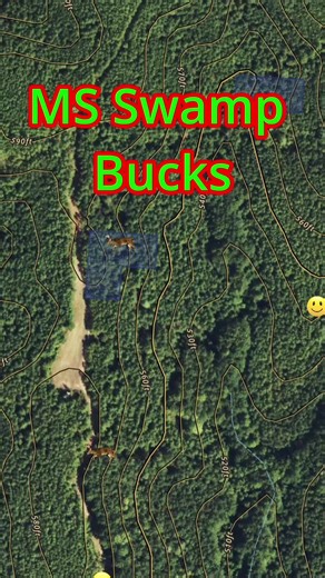 Mastering Deer Hunting in MS Swamps