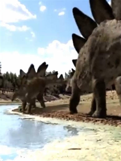 🦖Dinosaur mating rituals🦖#nature#animals#dinosaurs #dinosaur #dino #paleontology #jurassicworld #jurassicpark #prehistoric #trex #fossil #paleoart #dinonerd #ancientcreatures #dinosaursoftiktok #animals #animalsoftiktok #wildlife #creatures #beasts #animalplanet #zoology #naturelovers #wildlifephotography #cuteanimals #animalfacts