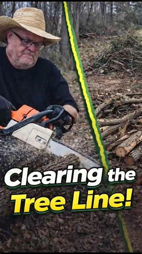 Clearing the Tree Line for Our Food Forest 🌳🚜 | Food Forest Progress