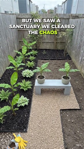 This YARD was a LOST CAUSE! 😱