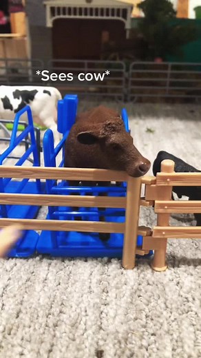 Schleich Bull Riding: A Fun Schleich Series for Animal Lovers