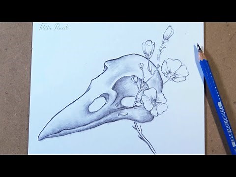 How to Draw Animal Skull and Flowers Step by Step | Pencil drawing