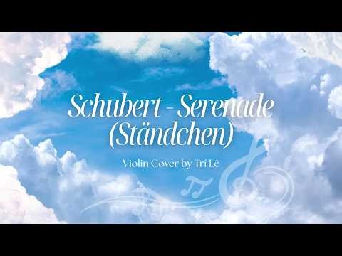 Schubert - Serenade (Ständchen) | Violin Cover | Trí Lê