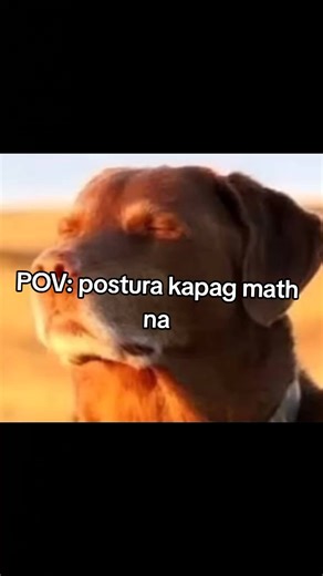 Postura Kapag Math Na: Isang TikTok POV