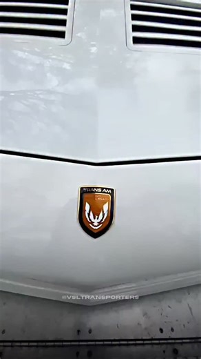 The boost, the badge, the legend 🔥🏁 The Turbo Trans Am is a piece of American muscle history that still turns heads today. Its turbocharged V8 gave it the perfect mix of raw power and modern innovation for its time, while its bold styling, shaker hood, and iconic Firebird logo made it an instant symbol of speed and attitude. It is more than just a car, it is a reminder of an era when performance and personality defined the road. At @vsltransporters we understand what legends like the Turbo Tra