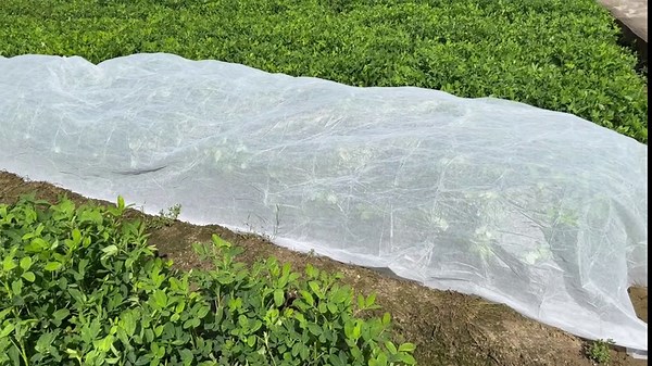 8Ftx24Ft Winter Plant Covers Freeze Protection, Raised Garden Bed Cover for Winter, Frost Cloths for Outdoor Plants Plant Blankets Frost Covers Floating Row Cover