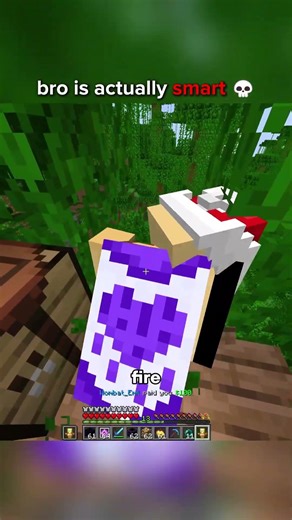 Jettism Burns A Fan's Tree House