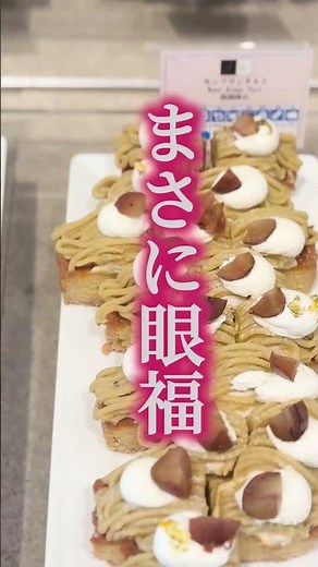 【帝国ホテル】ランチビュッフェ！インペリアルバイキングサール！#mihotabi #旅行 #食べ放題 #ランチビュッフェ #バイキング #帝国ホテル #帝国ホテルビュッフェ #旅行 #グルメ