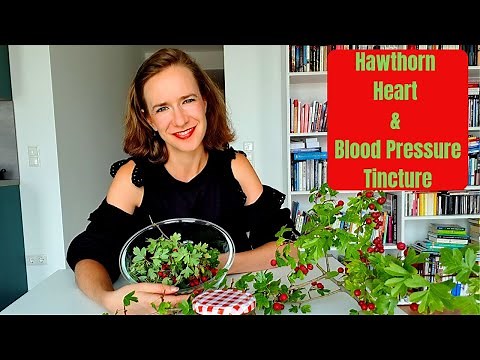How to Make a Hawthorn Tincture for Healthy Heart and Blood Pressure
