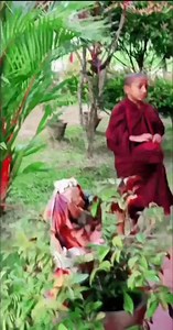 🙏🙏🙏 | Sri Lanka Buddhist