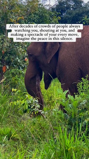 207K views · 19K reactions | There is a power in the silence of...