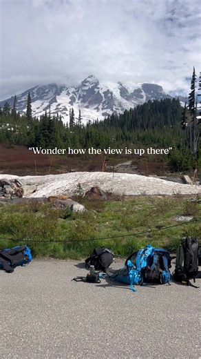 Experience the Best Views from Mount Rainier Hikes