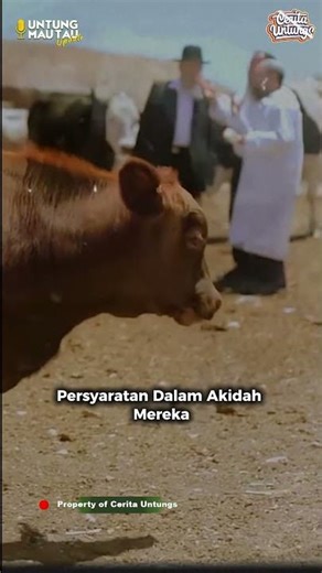 Was the Red Heifer in Jerusalem a Fake Image?! #shorts #shortvideo