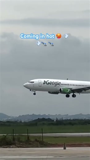 Landing or takeoff safely is key priority for any flight #aviation#takeoff#landing#flight#fly