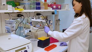 Visualizing Lymph Node Structure and Cellular Localization using Ex-Vivo Confocal Microscopy