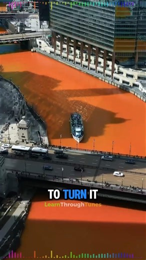 The 60-Year-Old Secret of the Chicago River ⚓🏙️