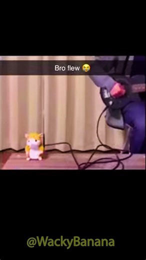 WORST Reaction Time #funny #shorts