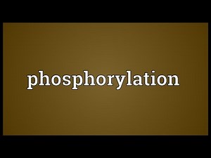 Phosphorylation Meaning