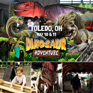41 reactions · 28 shares | 練 Toledo! Get ready for a ROAR-some Dinosaur Adventure! 練 May 10-11 at the Glass City Center! Step into a prehistoric world with life-sized dinos, interactive exhibits, and fun for the whole family! T-Rex-cellent fun for all ages! Grab your tickets now! | Dinosaur Adventure | Facebook