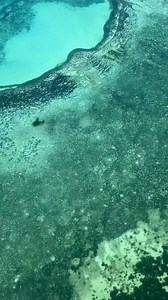 1.5K views | The best way to see the iconic Horizontal Falls is bird's eye view ️ : Explore scenic flights https://bit.ly/3TfRNsZ : Horizontal Falls, WA : @horizontalfalls | Experience Oz | Facebook