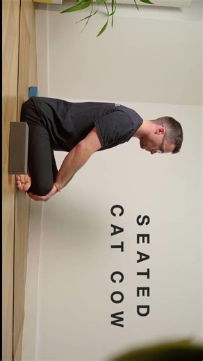 Seated Cat Cow #yoga #mobility #flexibility #yogaforbeginners #back #yinyoga #spine #backworkout