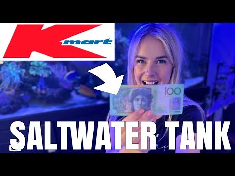 Simple Saltwater tank for under $100 - Entire setup from Kmart