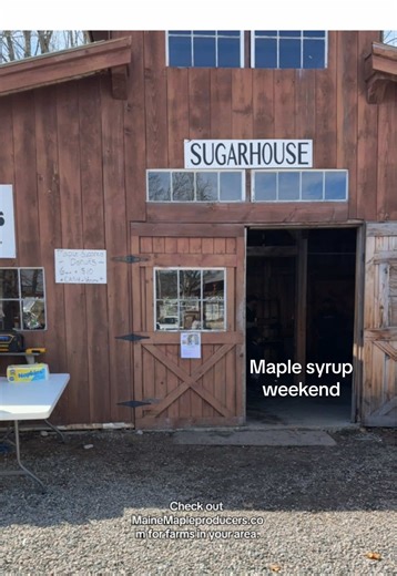 Statewide maple sugarhouse events coming soon! It’s my fav weekend in Maine (don’t tell the 4th of July) #maine #mainecheck #mainetok #visitmaine #maplesyrup