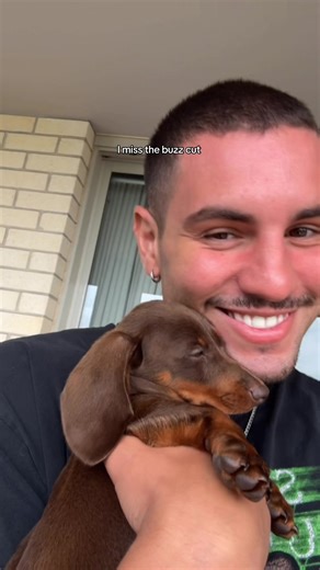 Buzz Cut for Long-Haired Dogs: Tips and Benefits