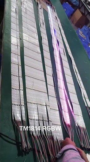 TM1814 RGBW LED Strip Light | Addressable Pixel Lighting