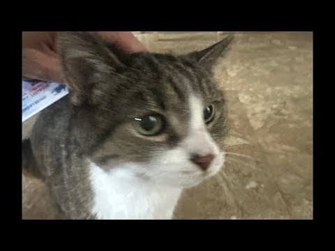 Live Play On Slot Machine?