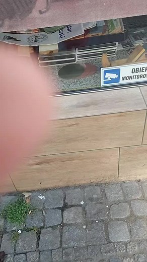 Wroclaw Storefront Window with Potted Plant