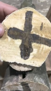 Here is early-cultivated Kynam agarwood tree, where cross-shaped holes were drilled using an electric drill, allowing the agarwood resin to secrete! #Agarwood #Agarwoodresin #Agarwoodtree #Kynam #Kynamtree #Kynamagarwood | Miki Lee