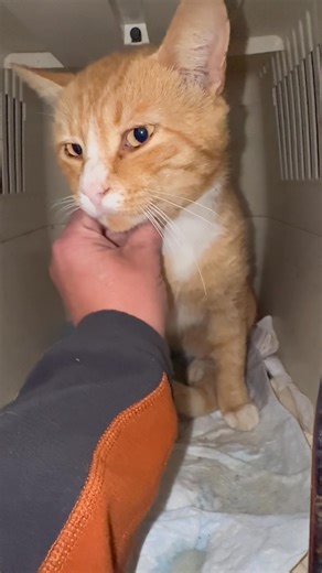 Hollyz Hobbie on Reels | Facebook