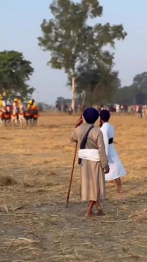 Ultimate Horse Riding Guide: Tips, Techniques, and Safety Precautions