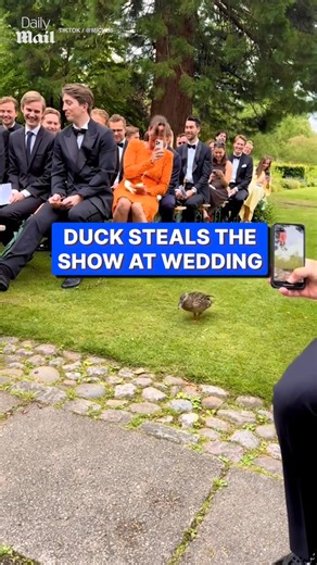 They chose their moment 😅 | Daily Mail Entertainment