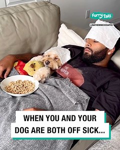 When your dog is sick 🤧 | Furry Tails
