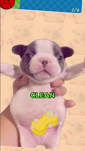 A game about Pibble?! (Roblox)