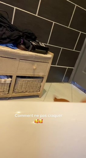 Playful Cocker Spaniel Puppy Explores the Bathroom