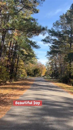 50 reactions · 52 comments | #beautifulday #enjoywalking | Milagros Maggay Feigenbaum | Facebook