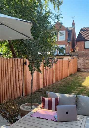 Transforming Our London Garden: Phase 2 Begins!