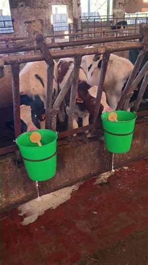 نحب نشكر لافشكري 👏🏻❤️