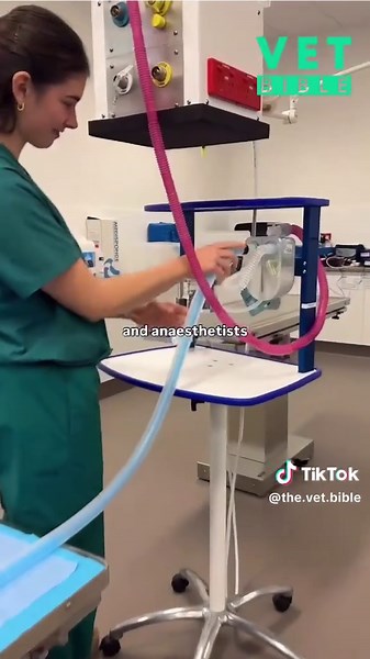 Understanding Veterinary Medicine and Its Impact