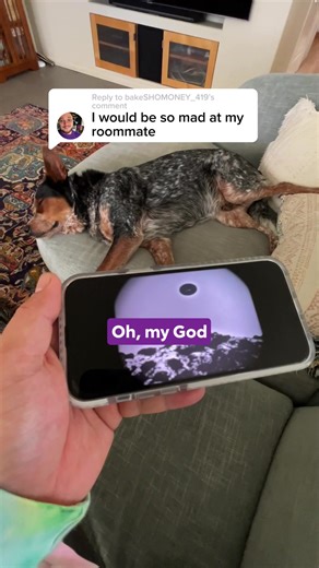 Track spending. Find savings. One simple app. ⭐️ | Rocket Money | Facebook