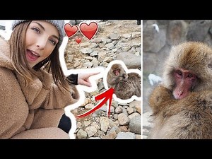 SNOW MONKEY PARK in JAPAN